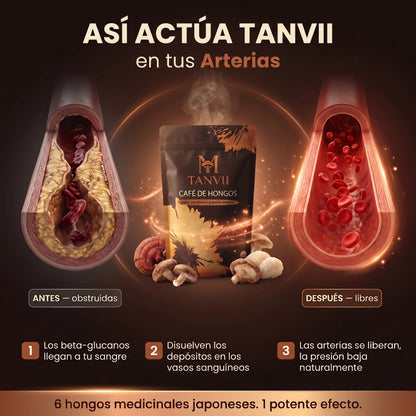 TANVII™ Café de Hongos | para una buena tensión arterial