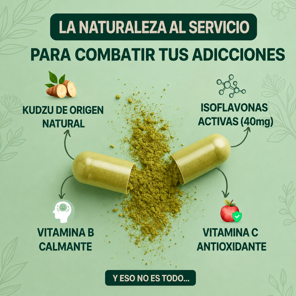 Kudzu Tanvii 40 mg de isoflavonas - 100% natural